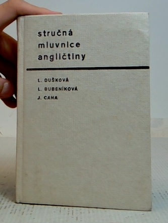 Stručná mluvnice Angličtiny