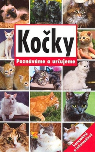 Kočky
