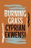 Burning Grass