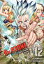 Dr Stone. Tom 12