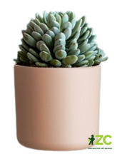 Obal Lora - bledě růžová 14 cm