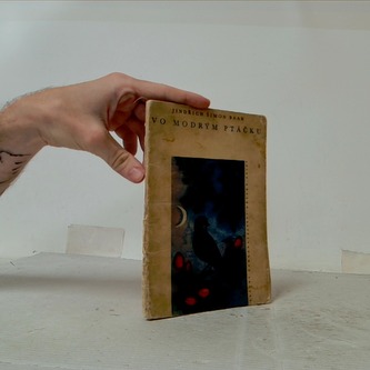 Vo modrým ptáčkům