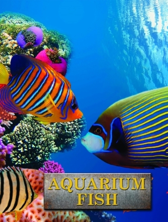 Aquarium Fish