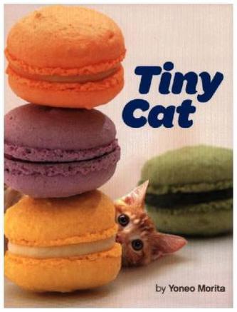Tiny Cat