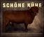 Schöne Kühe