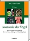 Anatomie der Vögel