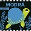 Modrá