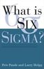 What is Six Sigma?