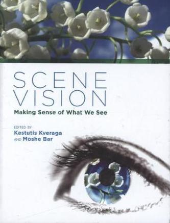 Scene Vision