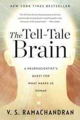 Tell-Tale Brain. Die Frau, die Töne sehen konnte, englische Ausgabe
