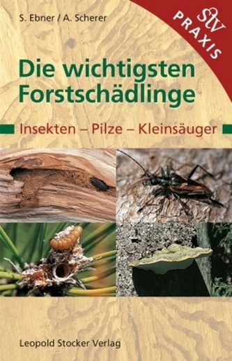 Die wichtigsten Forstschädlinge