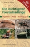 Die wichtigsten Forstschädlinge