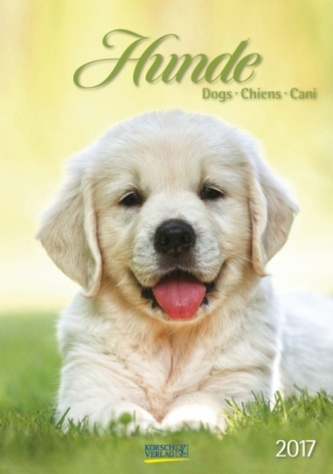 Hunde 2017