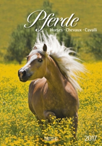 Pferde 2017