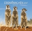 Erdmännchen 2017