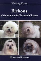 Bichons