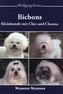 Bichons