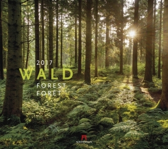 Wald 2017