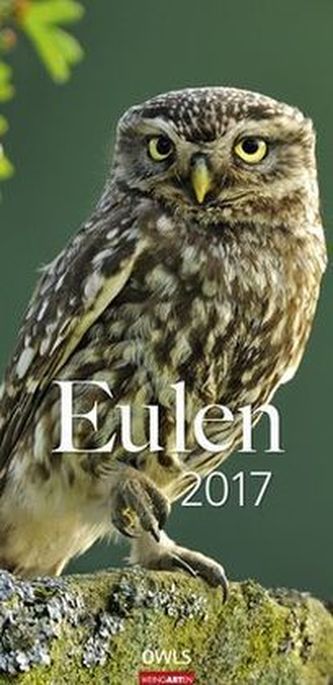 Eulen 2017