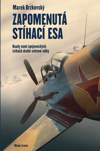 Zapomenutá stíhací esa - Osudy osmi spojeneckých stíhačů druhé světové války