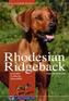Rhodesian Ridgeback