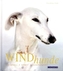 Windhunde