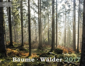 Bäume / Wälder 2017