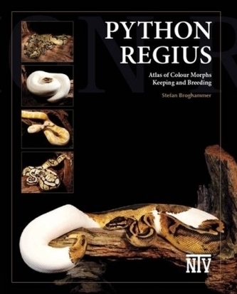Python Regius, English Edition