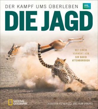 Die Jagd