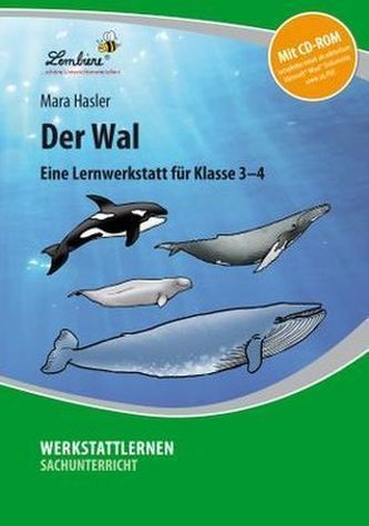 Der Wal, m. CD-ROM