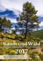 Baum und Wald 2017