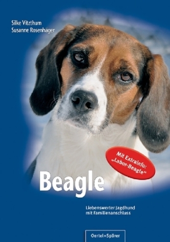 Beagle