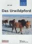 Das Urwildpferd