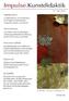 Impulse.Kunstdidaktik. Bd.17