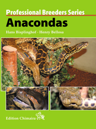 Anacondas