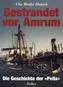 Gestrandet vor Amrum