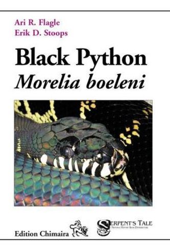 Black Python - Morelia boelini