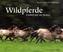 Wildpferde