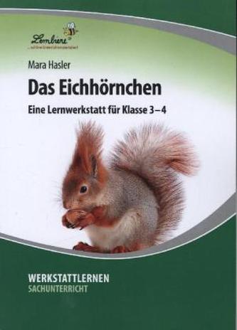 Das Eichhörnchen