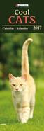 Cool Cats 2017