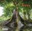 Trees 2017