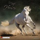 Magic Horses 2017