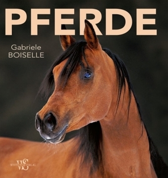 Pferde