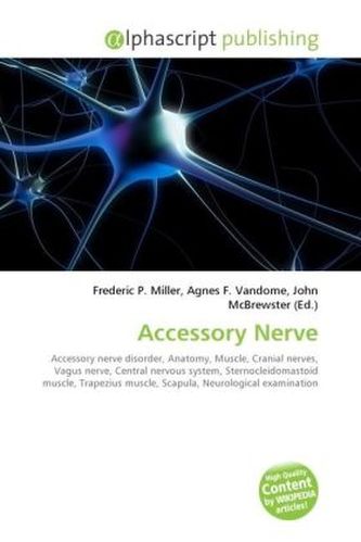 Accessory Nerve