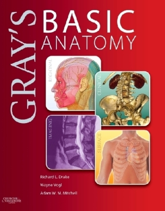 Gray's Basic Anatomy