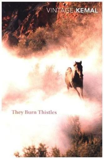 They Burn Thistles