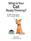 What is your Cat Really Thinking?