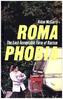 Romaphobia