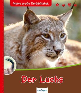 Der Luchs