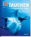 Tauchen
